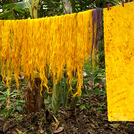 CURCUMA 38_mosaico galeria.jpg